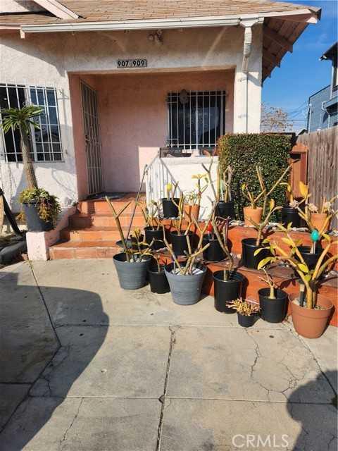 907 50th, Los Angeles, Duplex,  for sale, Tony Ayoub, RE/MAX College Park Realty